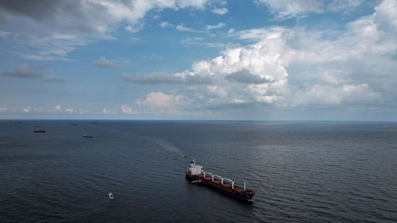 3 tahıl gemisi daha Ukrayna'dan yola çıktı