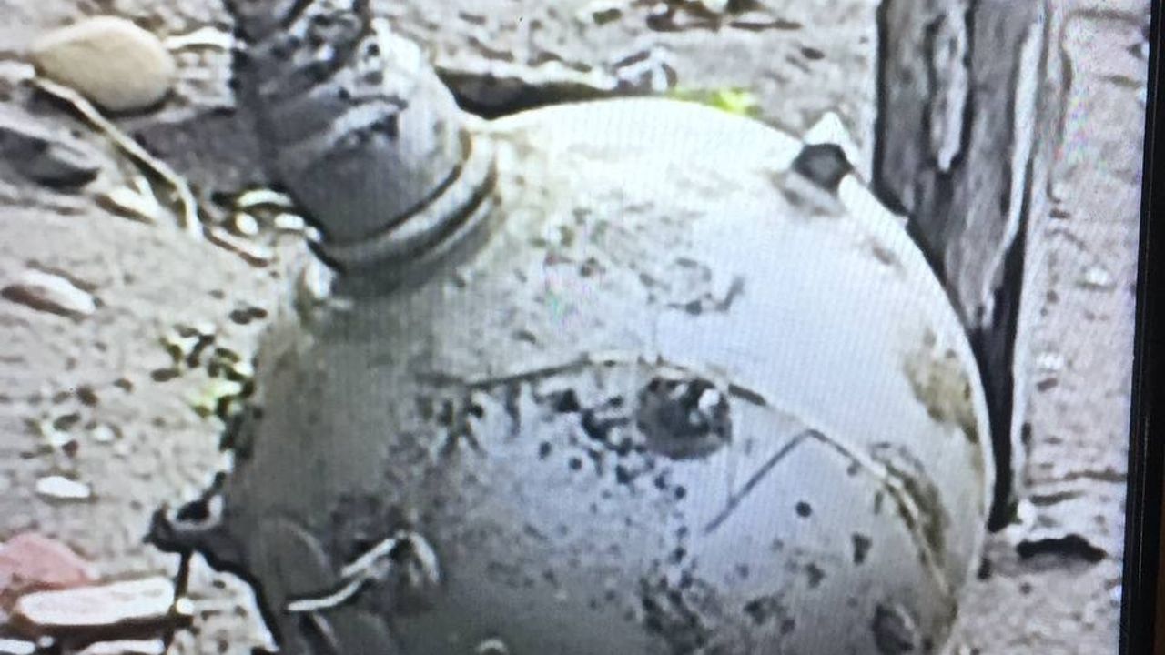 Rus yapımı denizaltı mayın tetikleyicisi Ordu sahiline vurdu