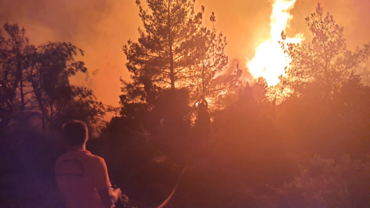 Manisa'da orman yangını! 7 saattir müdahale sürüyor