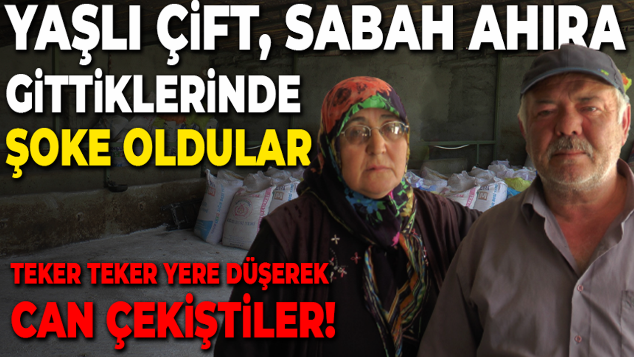 Bursa'da yaşlı kadını milyonlarca lira dolandıran sahte polis, nefes kesen takiple yakalandı