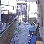 Hurdacının cesareti pes dedirtti
