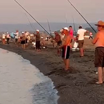 Karacabey sahillerinde istavrit bereketi
