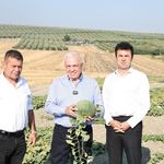 Nilüfer Belediyesi’nden “Hırsız Almaz Kavunu” için coğrafi işaret hazırlığı