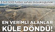 Çanakkale’de 3 bin 500 futbol sahası büyüklüğünde alan yandı