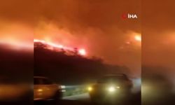 Azerbaycan'da farklı noktalarda orman yangını çıktı