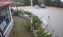 İzmir’deki şiddetli deprem kameralara yansıdı