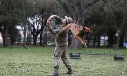 Bursa'da köpekler nefes kesen eğitimlerden geçiyor
