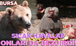 Bursa Zoopark'ta hayvanların eğlenceli anları