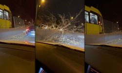 Bursa’da metro raylarına ağaç devrildi