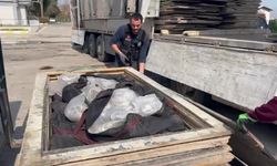 Adana'da zehir tacirlerine darbe! Sunta içinde 100 kilo esrar ele geçirildi