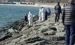 Bakırköy Florya sahilinde bir ceset bulundu