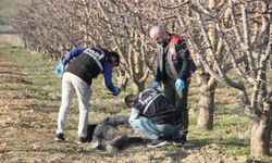 Karaman’da yaşlı adam elma bahçesinde ölü bulundu