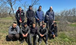 Edirne Lalapaşa ilçesinde 9 kaçak göçmen yakalandı