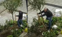 Buda oldu! İstanbul'da bir şahıs ağaca tahtalarla saldırarak kavga etti