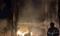 Bursa'da barakada başlayan yangın ormana sıçradı