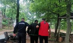 Yalova Termal ilçesinde 2 hektar ormanın yanmasına neden olan zanlı gözaltına alındı