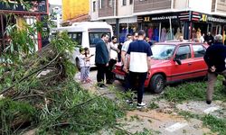 Bursa İnegöl ilçesinde seyir halindeki otomobilin üzerine ağaç devrildi