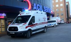 Erzincan Tercan ilçesinde bir kişi ayı saldırısına uğradı