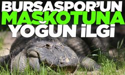 Bursa Hayvanat Bahçesi’ne yeni üyesi Bursaspor’un maskotu