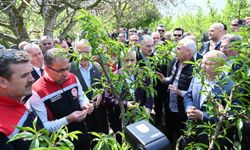 Bakan Yardımcısı Gümen'den hasar açıklaması