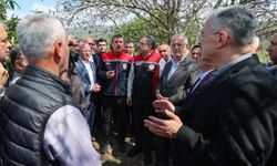 AK Parti İl Başkanı Davut Gürkan, don mağduru çiftçinin yanında