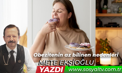 Obezitenin az bilinen nedenleri