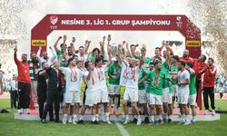 Cumhurbaşkanı Erdoğan Bursaspor'u tebrik etti