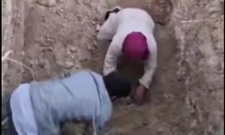 Bursa'da kuduz alarmı! Ölü köpekleri mezardan çıkarmaya kalktılar!