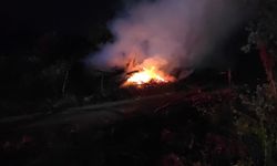 Bursa'da bağ evi alevlere teslim oldu
