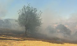 Bursa'nın Kestel ilçesinde orman yangını