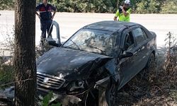 Ağaca çarpan otomobildeki 2 kişi yaralandı