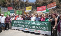 Bursa Kent Konseyi ve STK'lar: "Yunuseli Havaalanı yangın söndürme hava üssü olsun"