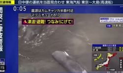 Japonya’da tsunami sonrası balinalar kıyıya vurdu!