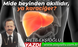 Mide beyinden akıllıdır, ya karaciğer?