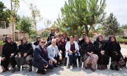 İznik, Büyükşehir’le daha yeşil