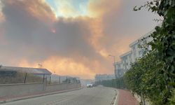 Çanakkale cehennemi yaşıyor! 4 kişi gözaltında