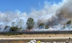 Çanakkale'de orman yangını! Vatandaşlara "sokağa çıkmayın" uyarısı