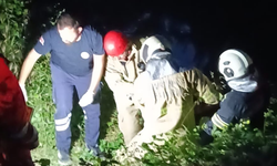Tuvalet ihtiyacını gidermek isterken ırmağa düştü