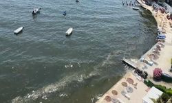 Marmara için tehlike çanları! Alg patlaması müsilajın habercisi...
