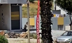 Para tartışması kanlı bitti: Oğlunu katletti, teslim oldu
