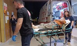 Erik toplarken ağaçtan düşüp, yaralandı