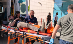 Bursa'da orman işçisi uçurumdan yuvarlandı