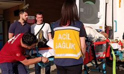 Kiraz toplamak için çıktığı ağaçtan düşüp, ağır yaralandı