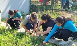 Öğrenciler kendi bitkilerini yetiştirecek