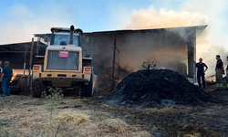 Bursa'da çiftlik yangını! Telef oldular
