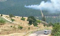 Bursa'da orman yangını