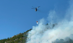 Bursa'da ormanlık alanda yangın