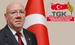 Kolaylı: Özgür basın demokrasinin güvencesidir