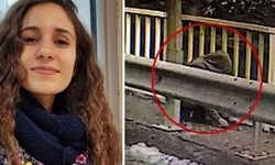 Gülistan Doku soruşturmasında flaş gelişme!