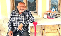 Ayı saldırısına uğrayan yaşlı adam hayatını kaybetti